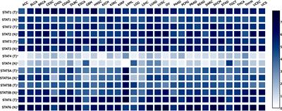 In-depth analysis of the expression and functions of signal transducers and activators of transcription in human ovarian cancer